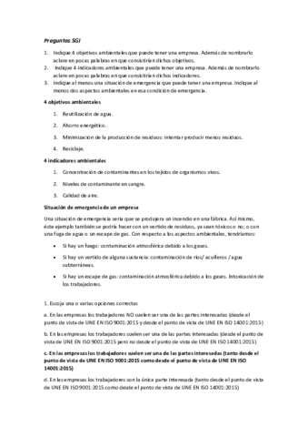 Preguntas-SGI.pdf