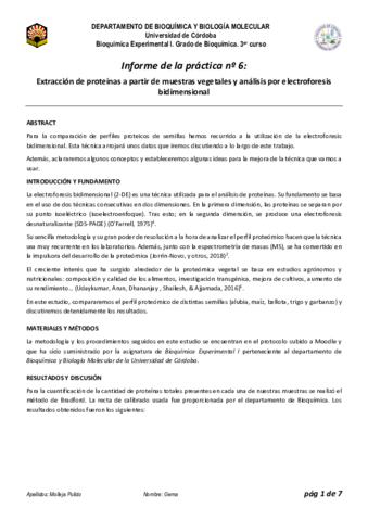 Molleja-Pulido-Gema-Pr6.pdf