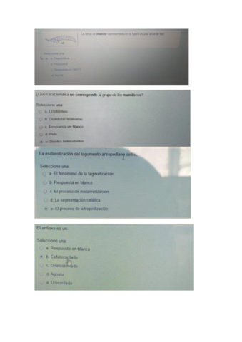 PREGUNTAS-TEST-EXAMEN-ZOO.pdf