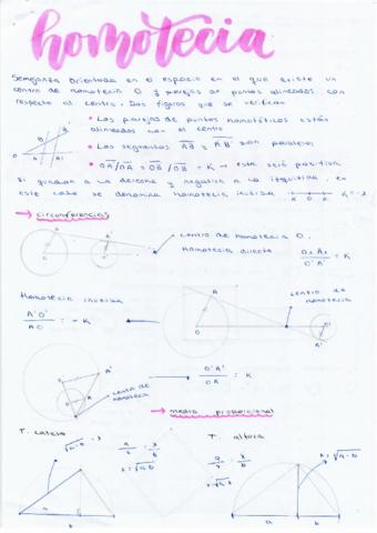 apintes-1-trim-y-puntes-de-clase.pdf