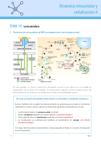 DINAMICA-TEMA-10.pdf