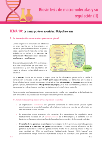BIOSINTESIS-2-CUATRI-T10-11.pdf