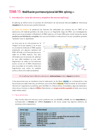 BIOSINTESIS-T15-SPLICING-WUOLA.pdf