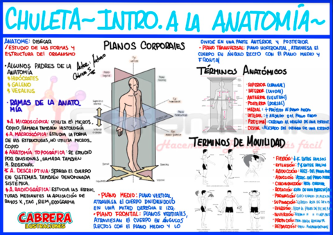 intro-anatomia.png