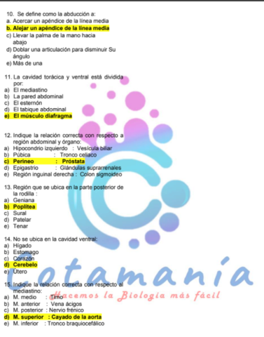 exa-intro-anat.png