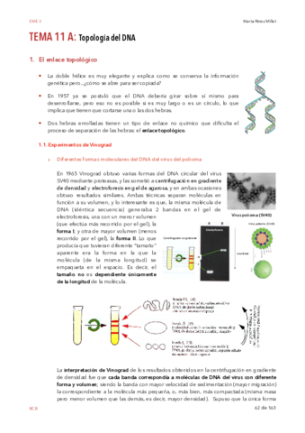 EME-II-wuola-II.pdf