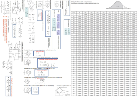 formularioenteroIE.pdf