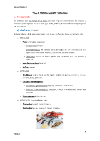 Tema-7.pdf