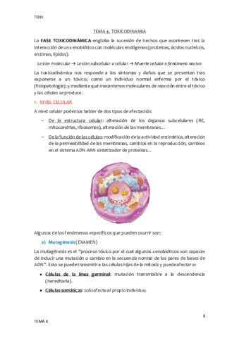 Tema-4.pdf