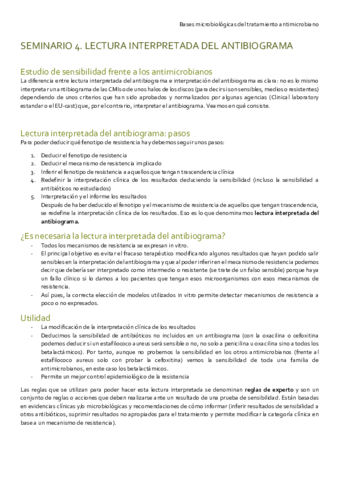 SEMINARIO-4.pdf