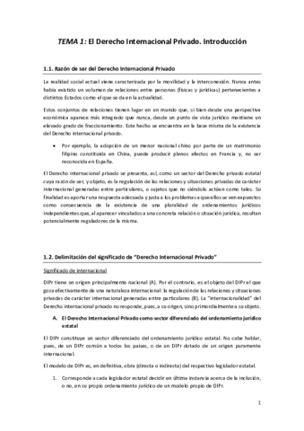 tema-1-dipr.pdf