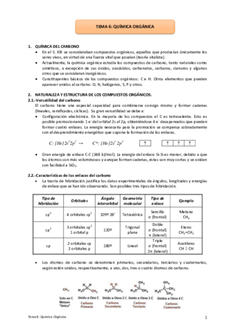 Tema-6-Quimica-Organica.pdf