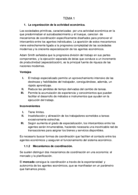 TEMA 1.pdf