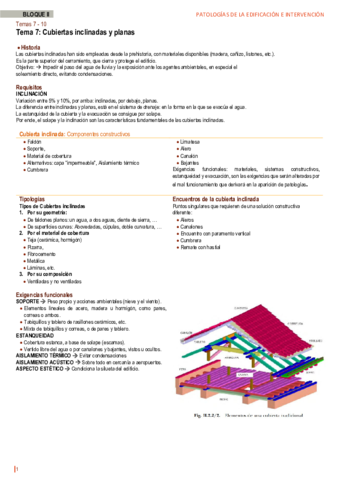 PATOLOGIAS-TEMA-07.pdf