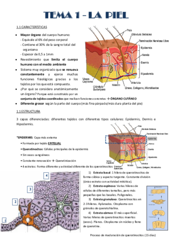 Temas-1-2-y-3-La-piel.pdf