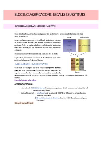 BLOC-II-Classificacions.pdf