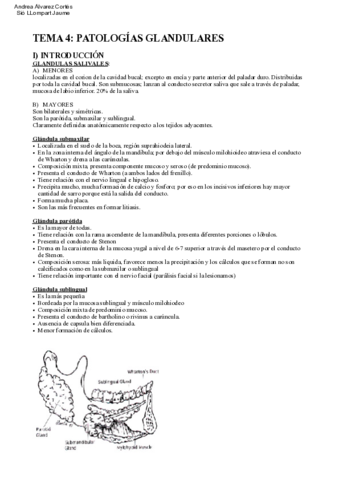 Tema-4-Medicas-II.pdf