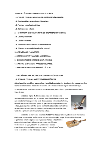 TEMA-6.pdf