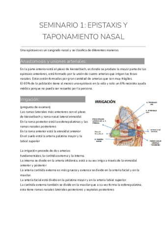 SEMINARIO-1-EPISTAXIS-Y-TAPONAMIENTO-NASAL.pdf