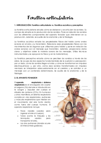 Tema-2-Fonetica-articulatoria.pdf