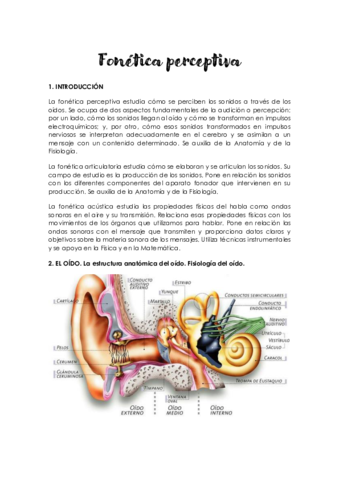 Tema-2-Fonetica-perceptiva.pdf