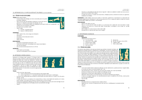 Cirurgia-Podologica-II-4a-part.pdf