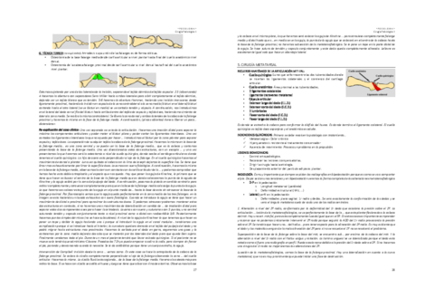 Cirurgia-Podologica-II-2a-part.pdf