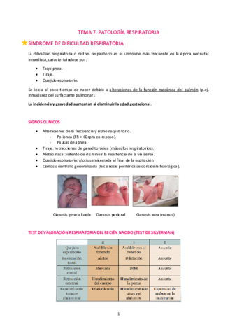 T7-Patologia-respiratoria.pdf