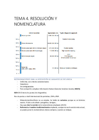 diagnositco-tema-4.pdf