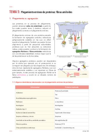 EME-I-TEMA-5.pdf