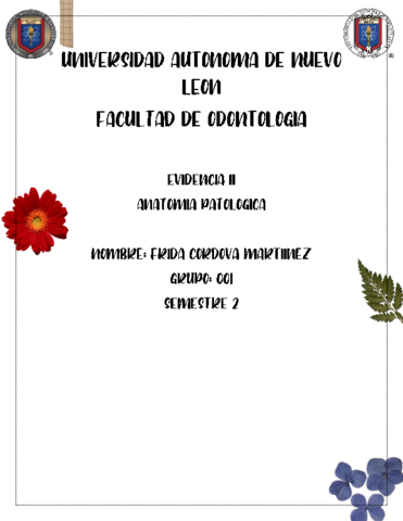EVIDENCIA-11-PATO.pdf