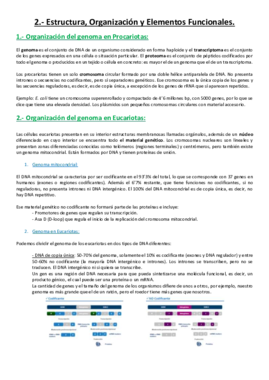 Tema 2.pdf