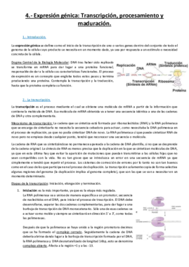 Tema 4.pdf