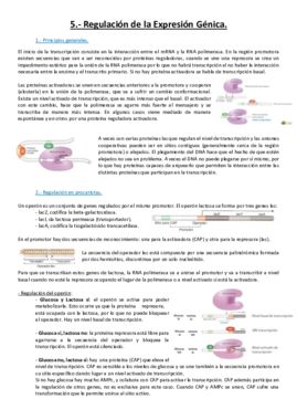 Tema 5.pdf