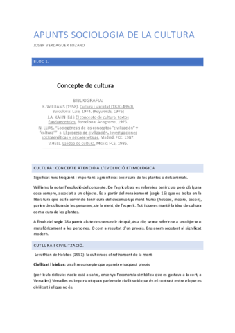 Apunts-Sociologia-de-la-Cultura-1.pdf