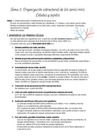 Tema-2.pdf