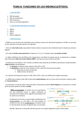 Tema 8.pdf