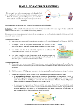 Tema 9.pdf