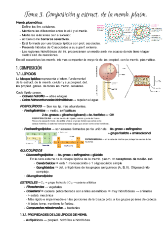 Tema-3.pdf