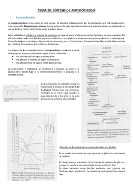Tema 20.pdf
