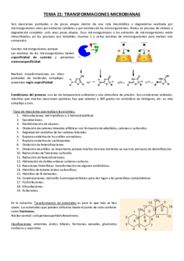 Tema 21.pdf