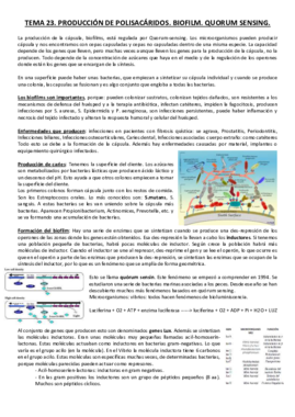 Tema 23.pdf