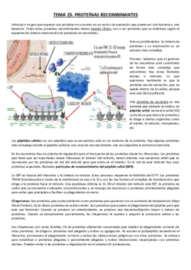 Tema 25.pdf