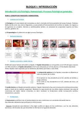 13 TEMA.pdf