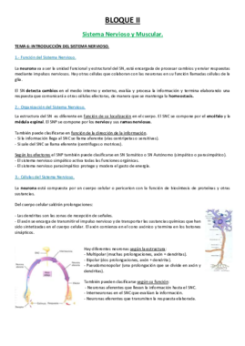 6 TEMA.pdf