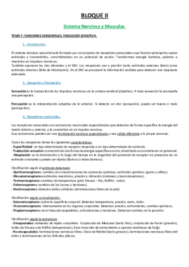 7 TEMA.pdf