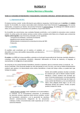 89 TEMA.pdf
