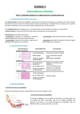 11 TEMA.pdf