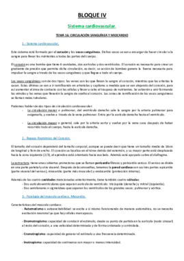 16 TEMA.pdf