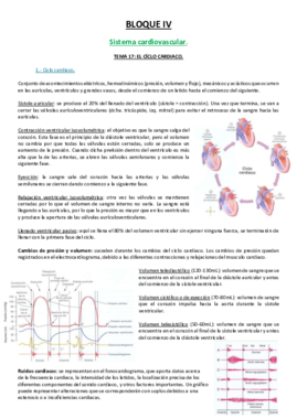 17 TEMA.pdf